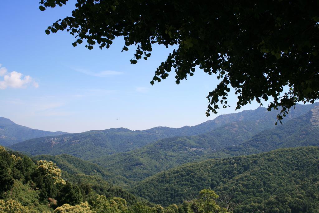 Le Refuge Orezza Piedicroce  Exterior foto
